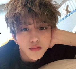 白鹿蔡徐坤爆料视频合集,揭秘娱乐圈幕后真相