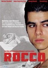 洛可在线观看,一场视觉与情感的盛宴